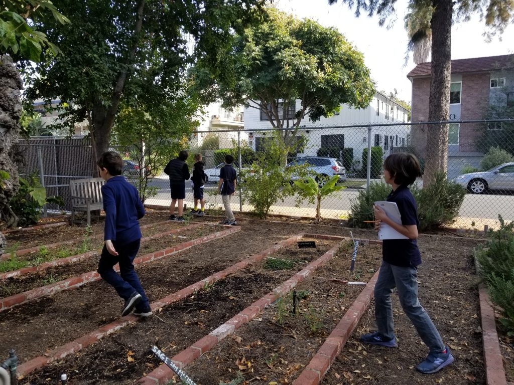 kids love gardening