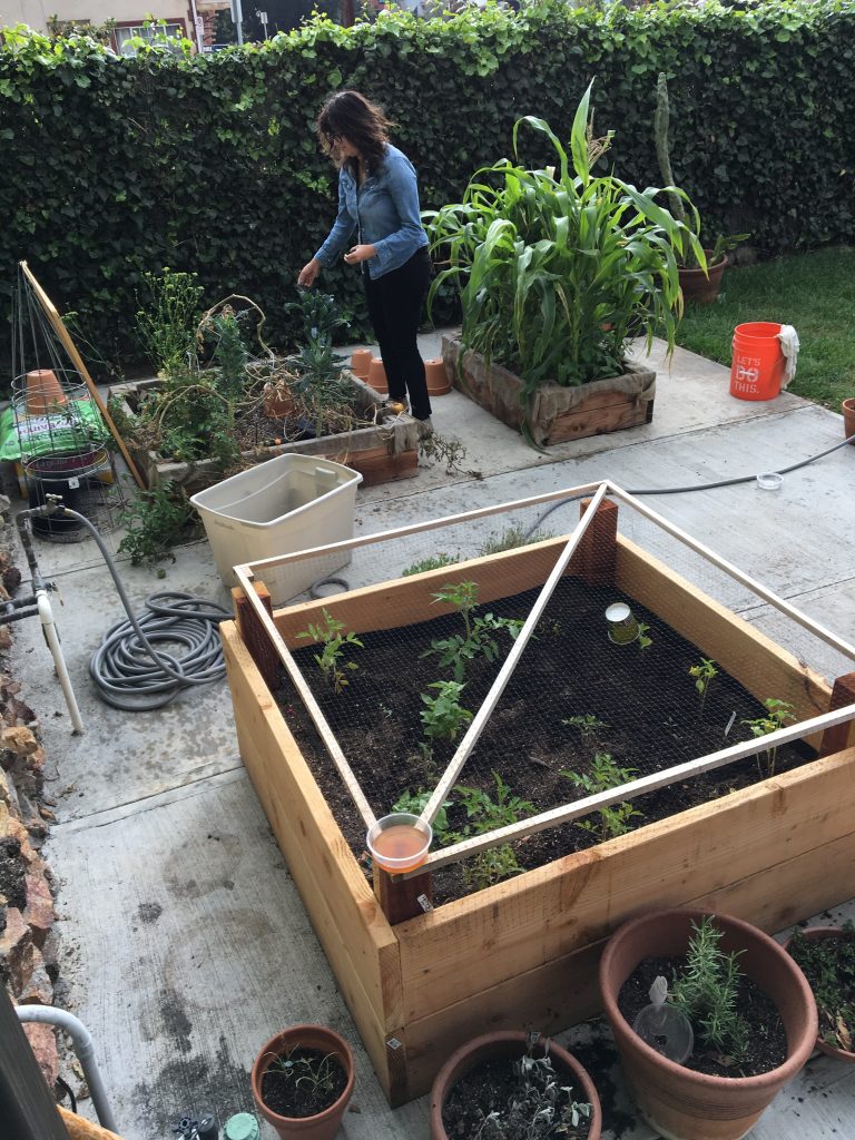 kitchen gardens